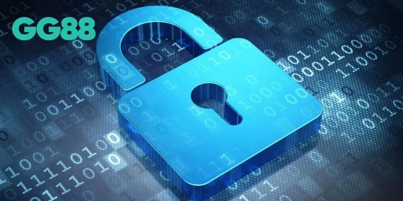 Cách người chơi chủ động bảo vệ dữ liệu cá nhân