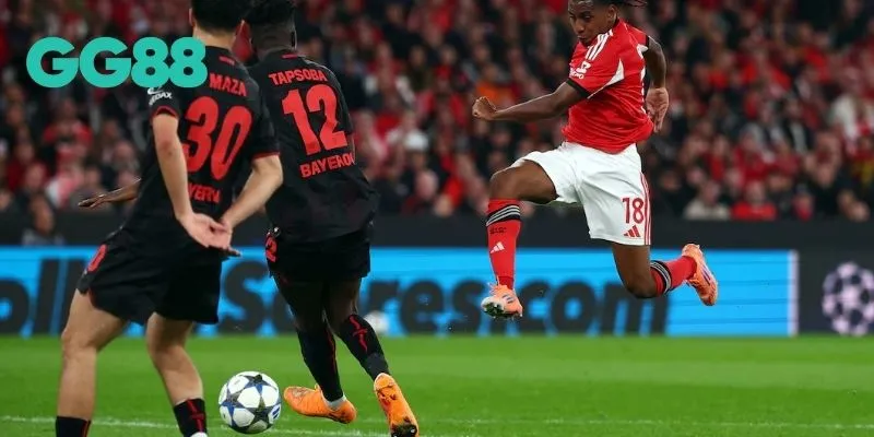 Nhận định, dự đoán tỷ số và cơ hội chiến thắng Bayer Leverkusen vs Benfica
